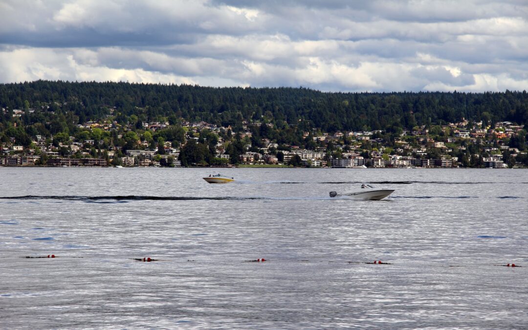 Top Spots for Salmon Fishing in Lake Washington