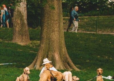 person sitting on grass surrounded by dogs