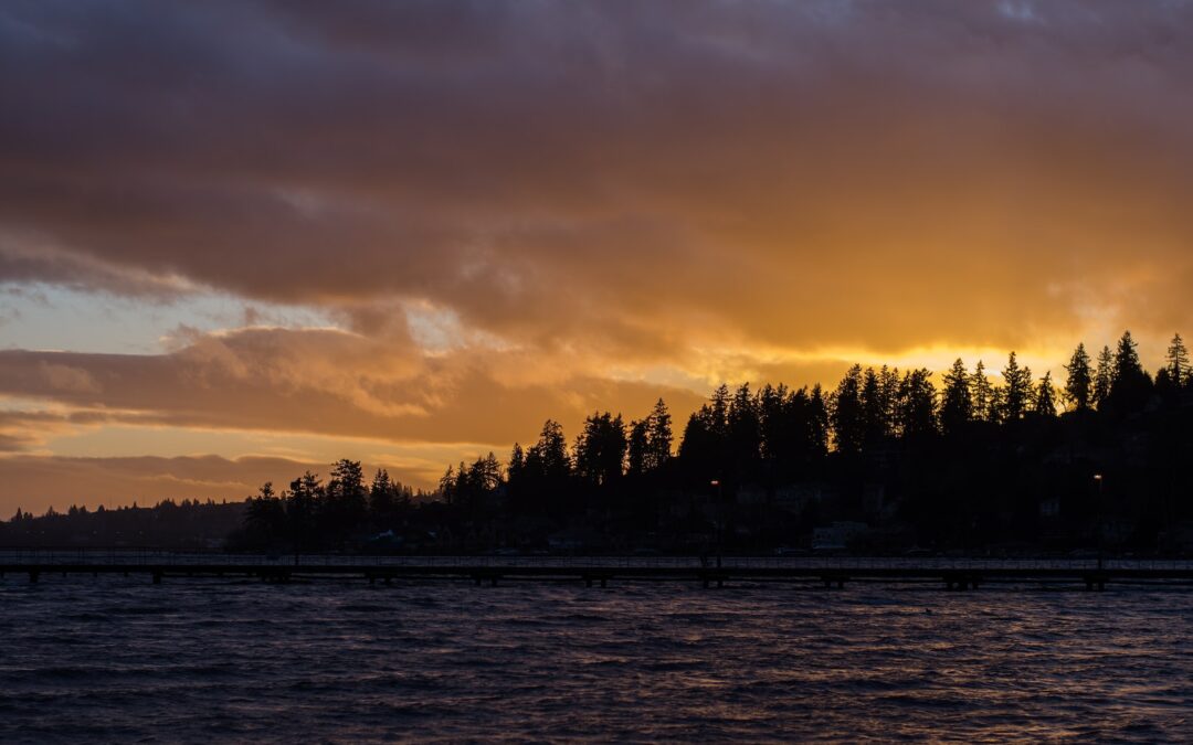 Staying Safe in Issaquah WA: A Guide to Nighttime Walking