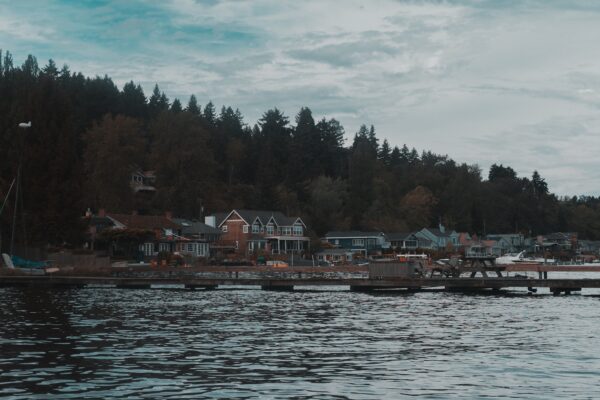 houses near body of water during daytime