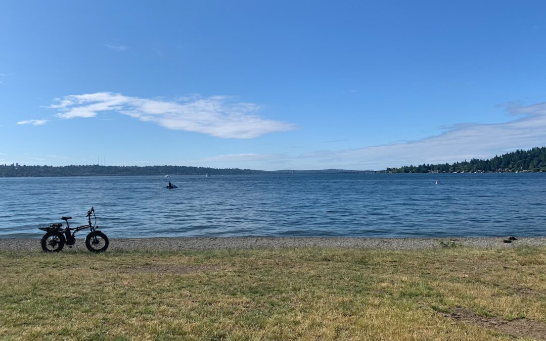What is Waterfront Dining Like on Lake Washington: A Scenic and Delicious Experience