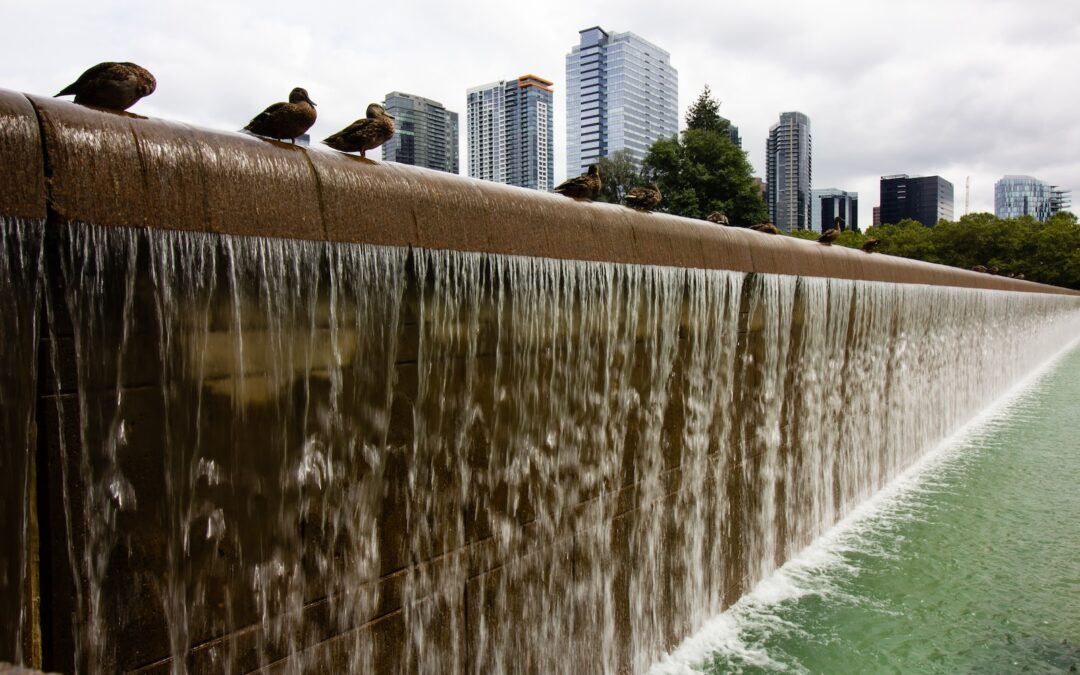 Best Parks in Bellevue Washington: A Guide to Outdoor Fun