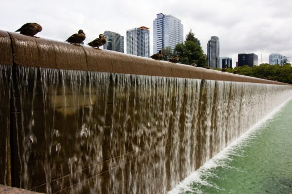 Photo by Ryan Stone water fountain near high rise buildings during daytime