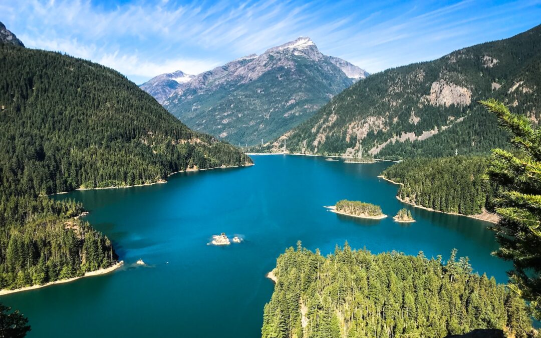 Discover the Best Things to Do on a Sunday in Sammamish, Washington: A Local’s Guide