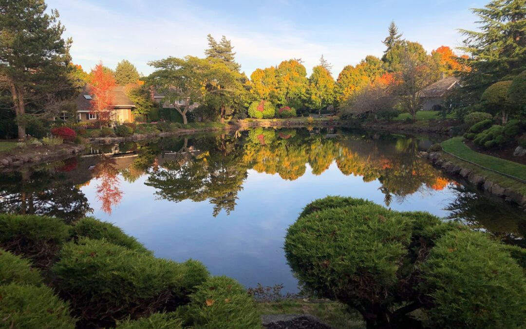 What Celebrities Live on Mercer Island: A Guide to the Island’s A-List Residents