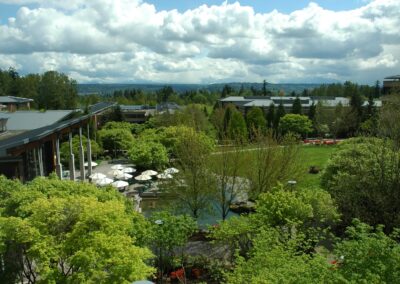 green trees and houses under white clouds and blue sky during daytime