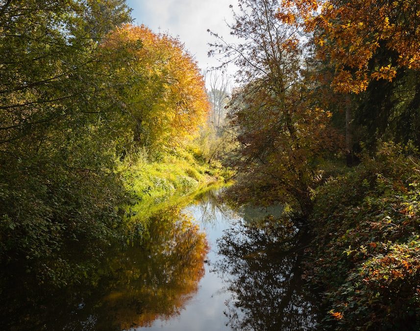 Best Hikes in Issaquah, Washington: Explore the Beautiful Outdoors