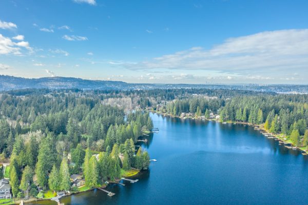 Photo by Zac Gudakov green trees beside lake under blue sky during daytime
