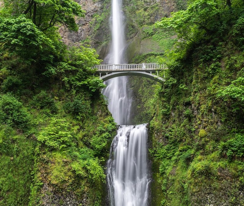 Best Hikes in Redmond, Washington: Trails for All Levels of Hikers