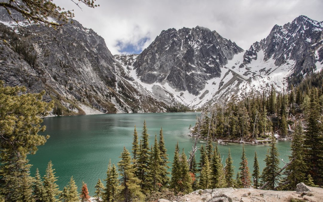 Number One Attraction in Washington? Find Out What It Is!