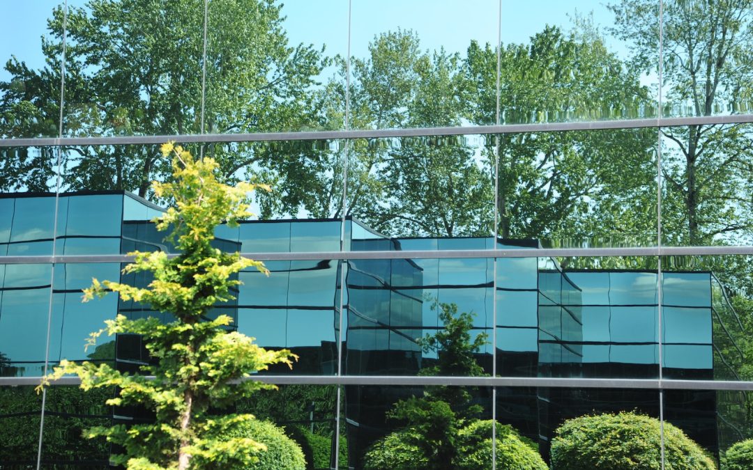 Living in Bellevue Washington: A Guide to the City’s Lifestyle and Attractions