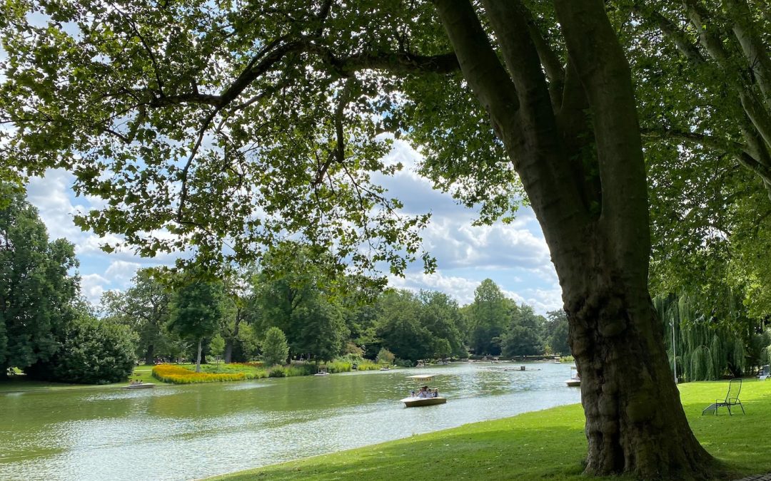 Best Parks in Bellevue Washington: A Guide to the City’s Green Spaces