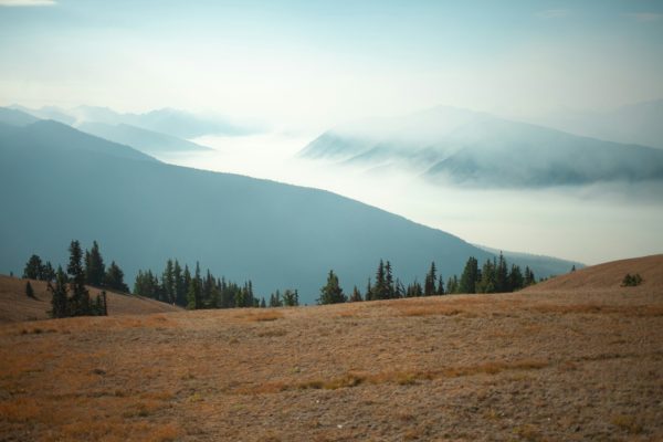Photo by KaLisa Veer a grassy field with trees and mountains in the background