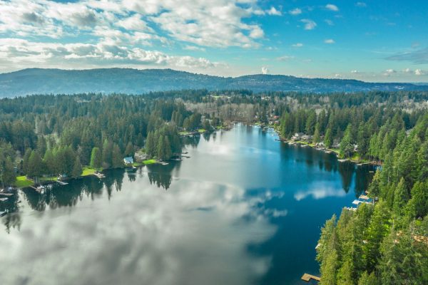 Photo by Zac Gudakov green trees near lake under white clouds and blue sky during daytime