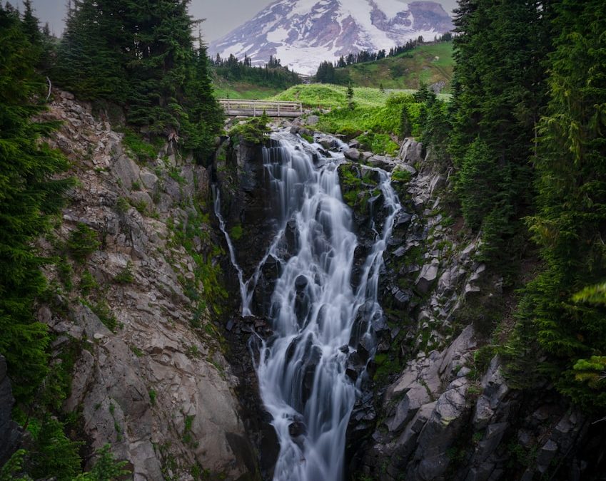 Mount Rainier: Everything You Need to Know