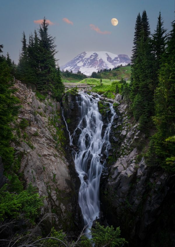Photo by Intricate Explorer green trees near water falls during daytime